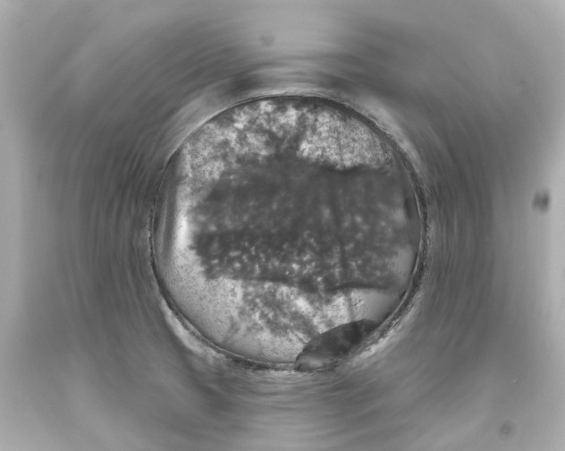 X0000093581425200710291052