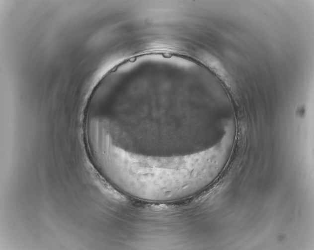 X0000093581427200710291052