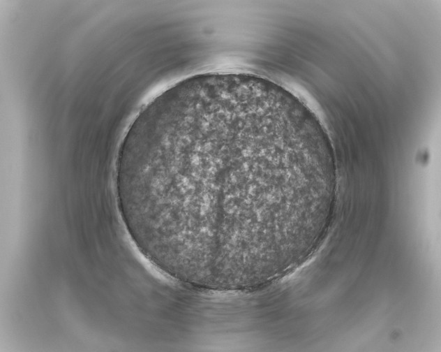 X0000093581429200710291052