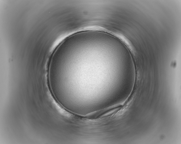 X0000093581430200710291052