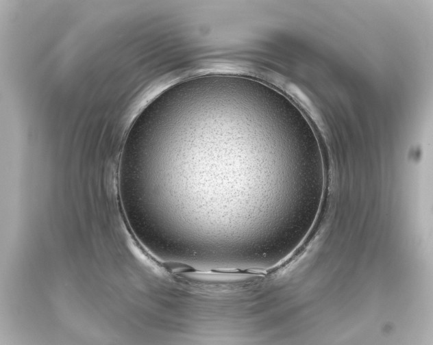 X0000093581433200710291052