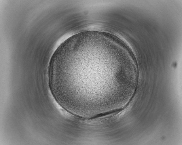 X0000093581434200710291052