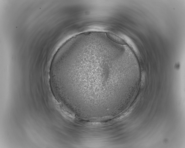 X0000093581435200710291052