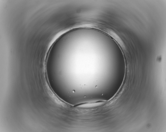 X0000093581436200710291052