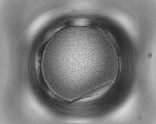 X0000093581438200710291052