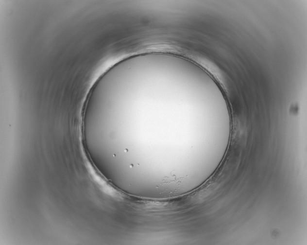 X0000093581439200710291052