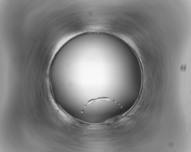 X0000093581440200710291052