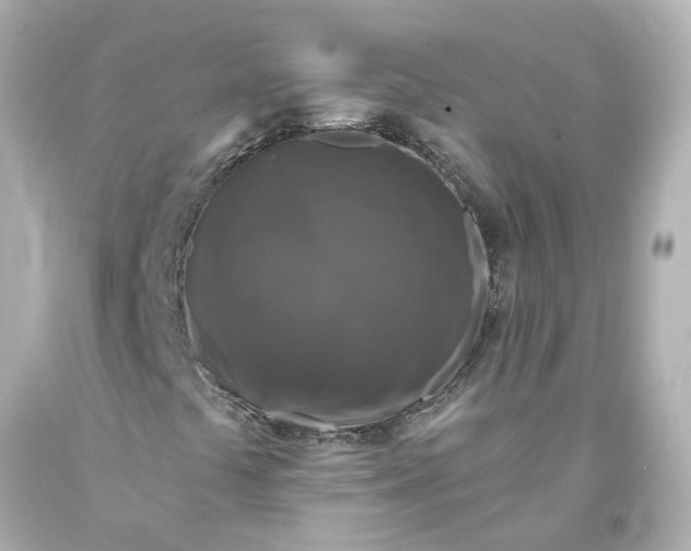 X0000093581441200710291051