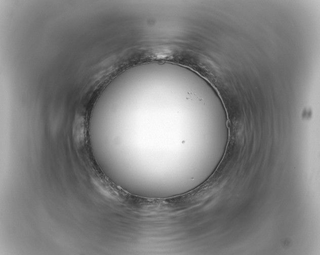 X0000093581442200710291051