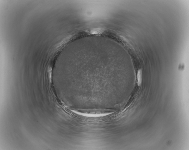 X0000093581443200710291051