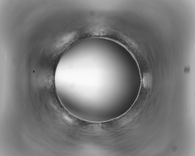 X0000093581444200710291051