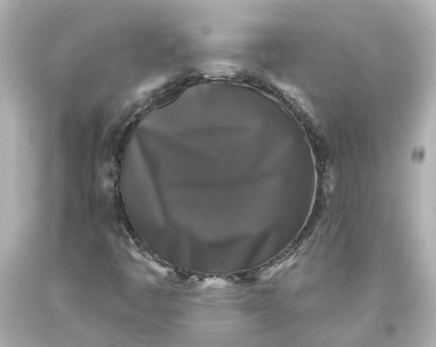 X0000093581445200710291051