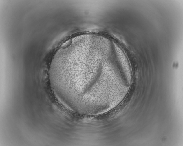 X0000093581447200710291051