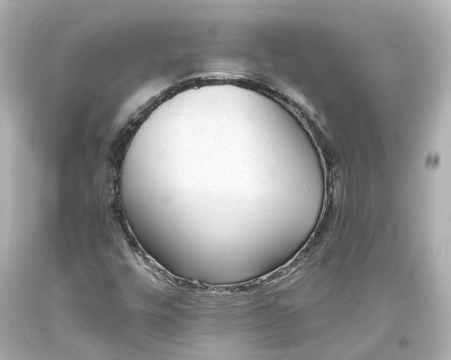 X0000093581448200710291051