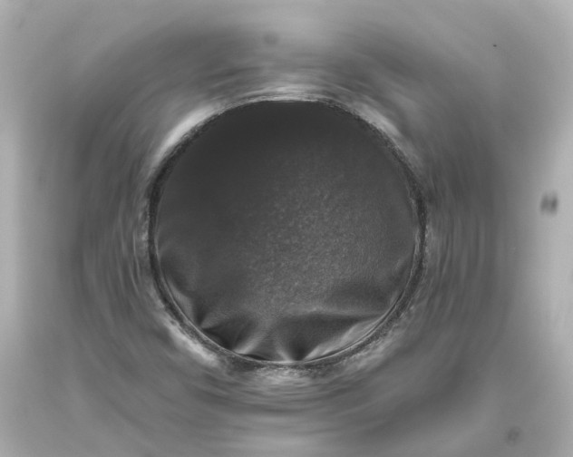 X0000093581450200710291051
