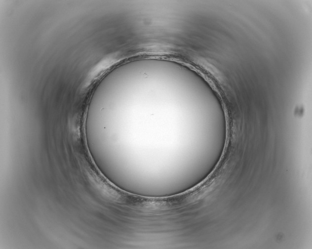 X0000093581451200710291051