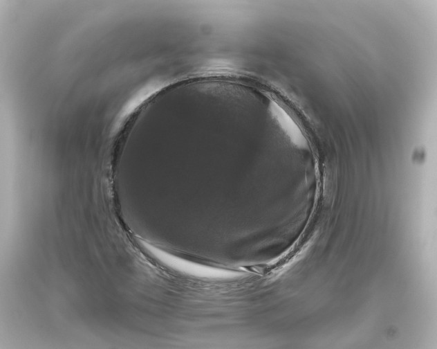 X0000093581453200710291051