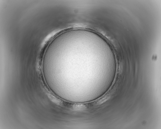 X0000093581454200710291051