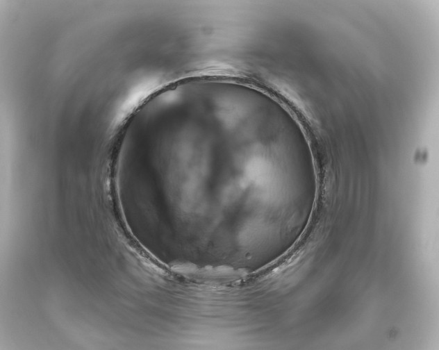 X0000093581455200710291051