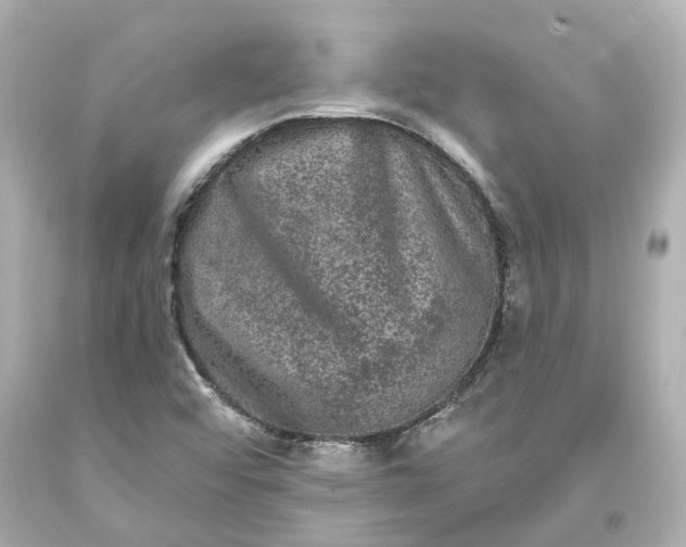 X0000093581456200710291051