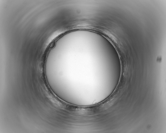 X0000093581458200710291051
