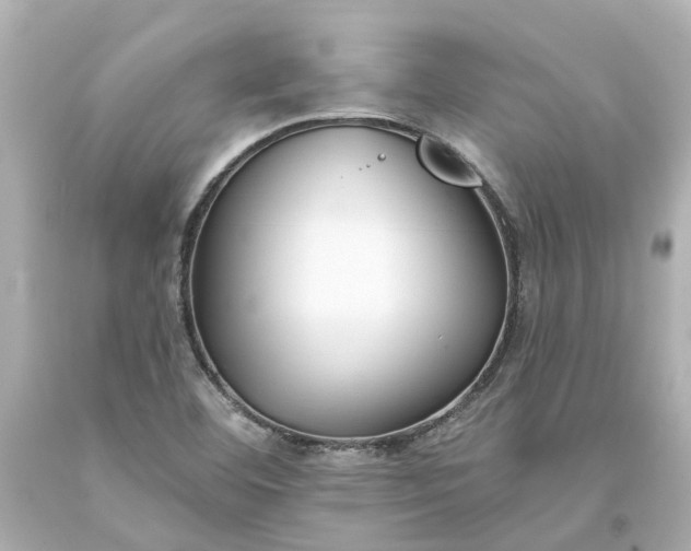 X0000093581460200710291051