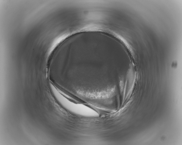 X0000093581461200710291051