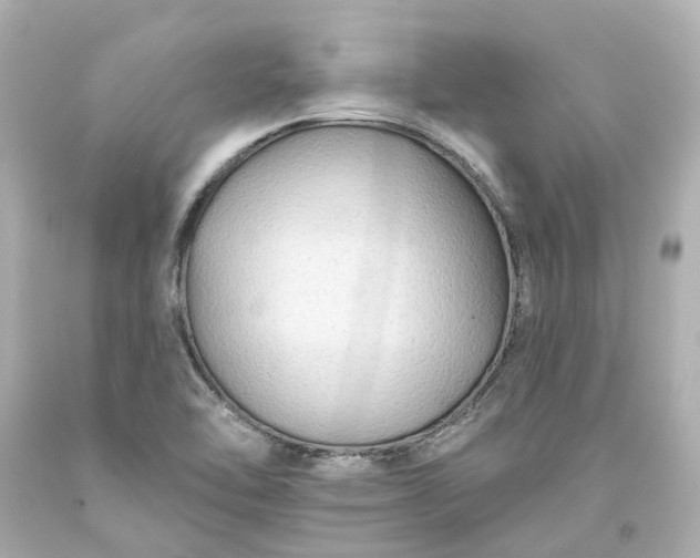 X0000093581462200710291051