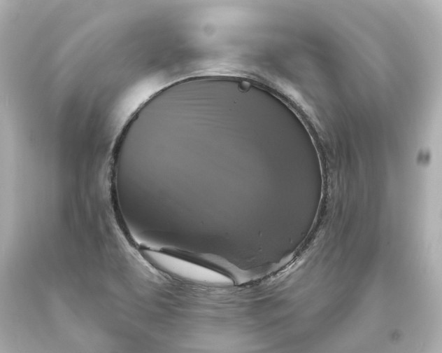 X0000093581463200710291051