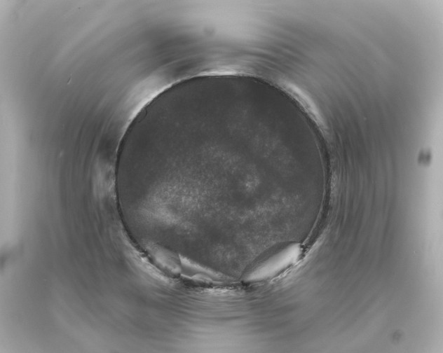 X0000093581465200710291051