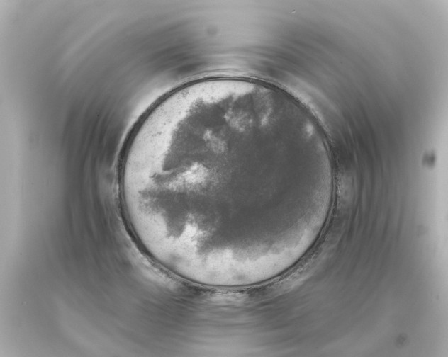 X0000093581466200710291051