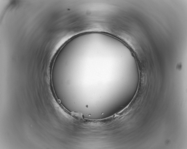 X0000093581468200710291051