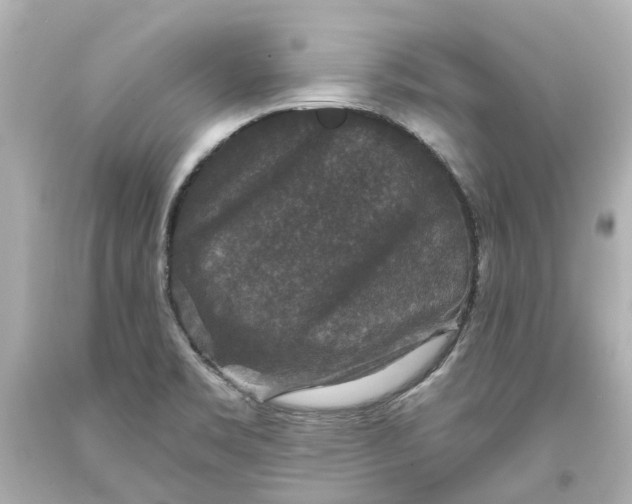 X0000093581469200710291051