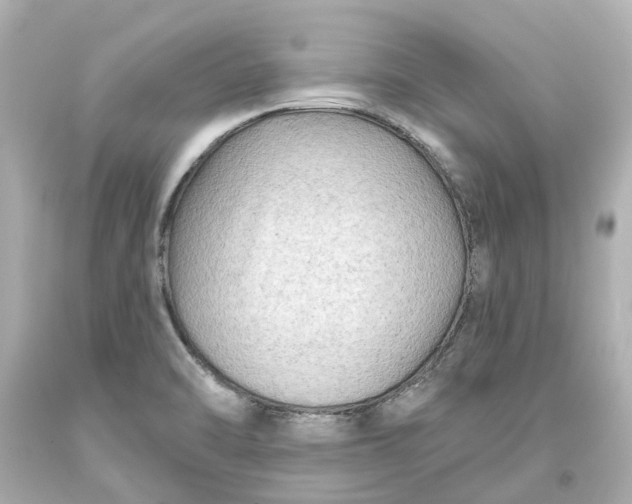 X0000093581470200710291051