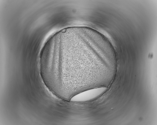 X0000093581472200710291051