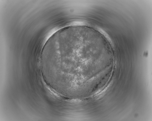 X0000093581473200710291051