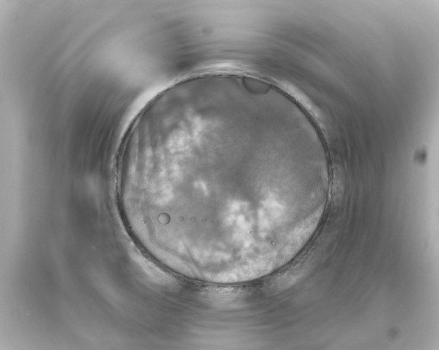 X0000093581474200710291051