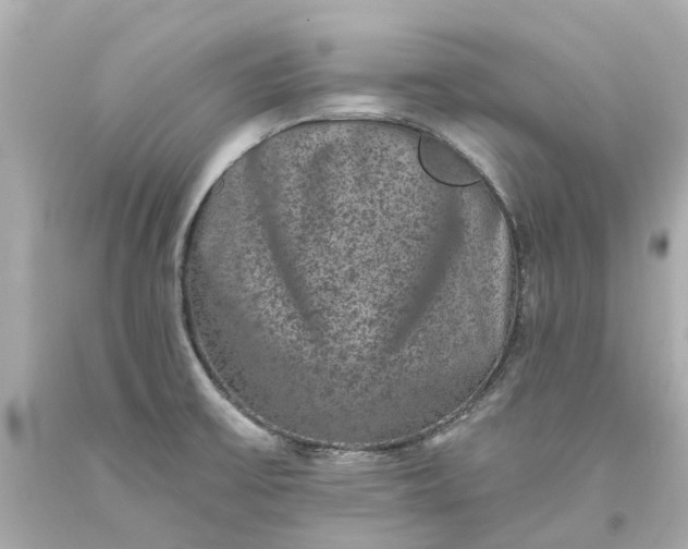 X0000093581475200710291051