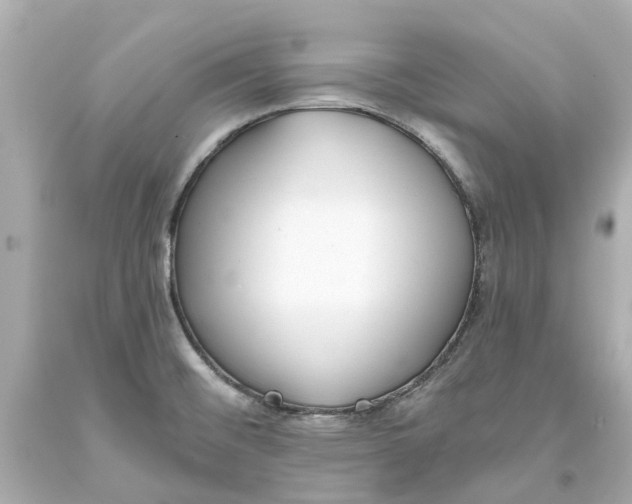 X0000093581476200710291051