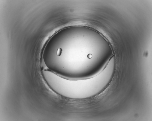 X0000093581477200710291051