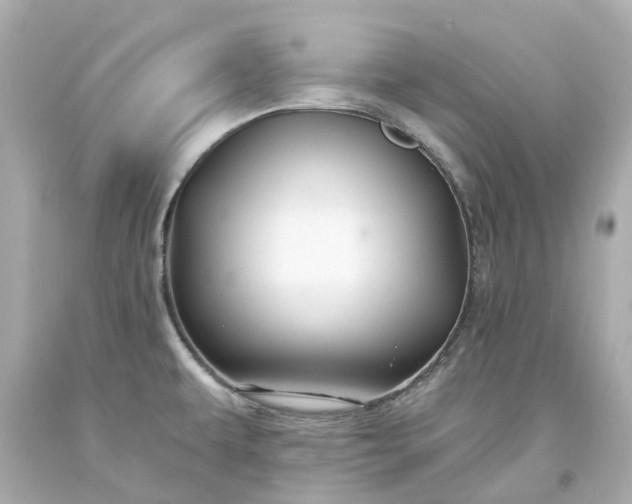 X0000093581479200710291051