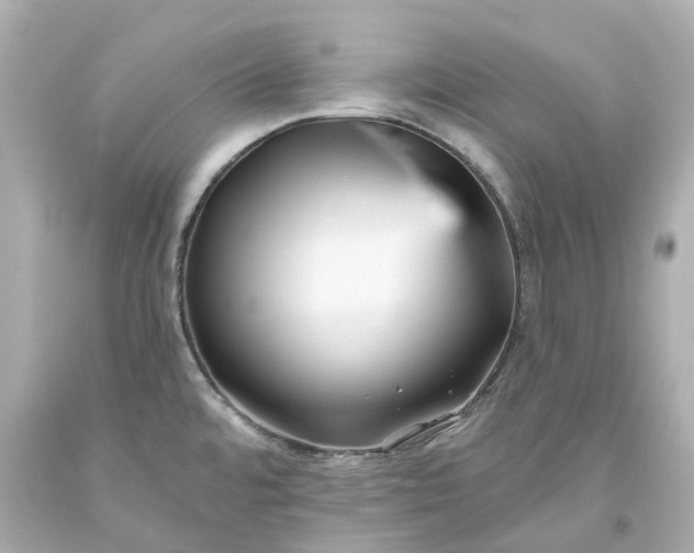 X0000093581480200710291051