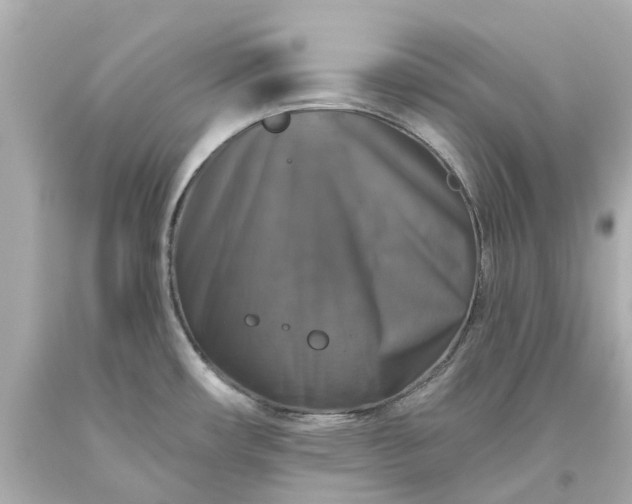 X0000093581482200710291051