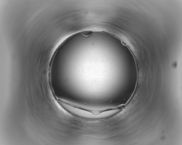 X0000093581484200710291051