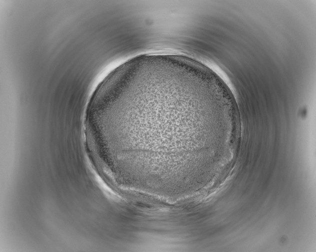 X0000093581485200710291051