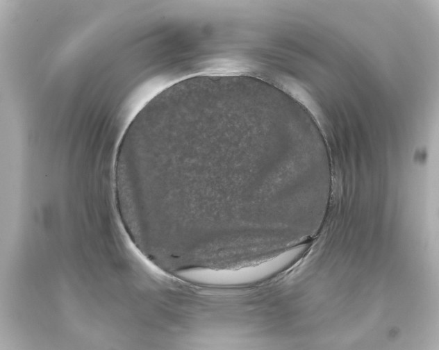 X0000093581487200710291051