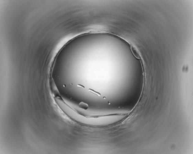 X0000093581488200710291051