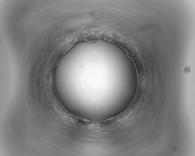 X0000093581489200710291050