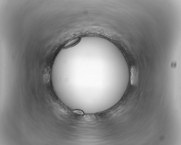 X0000093581491200710291050