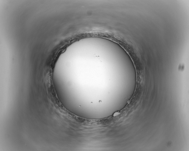 X0000093581493200710291050
